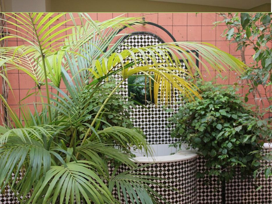 Hotel Plateria Écija Εσωτερικό φωτογραφία
